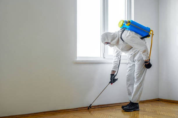 Best Best Pest Control Companies  in La Ada Flintridge, CA