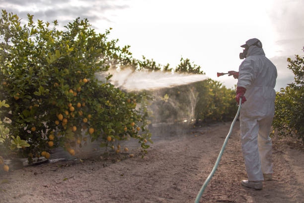 Best Pest Inspection Near Me  in La Ada Flintridge, CA