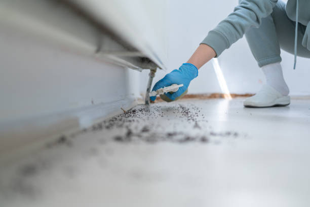 Best Emergency Pest Control  in La Ada Flintridge, CA