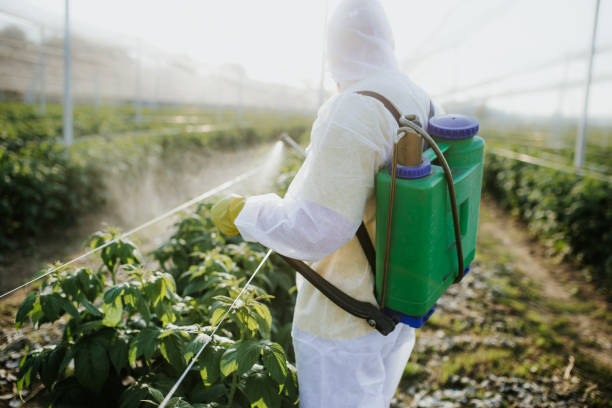 Insect Control in La Caada Flintridge, CA
